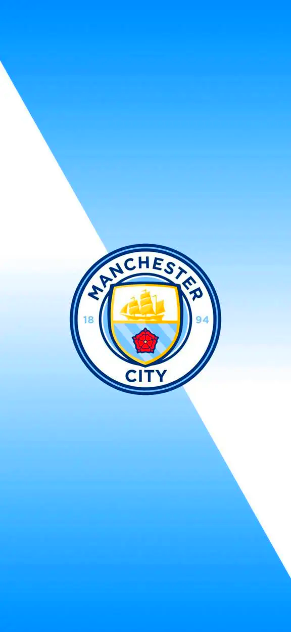 或将决定比 或将决定比