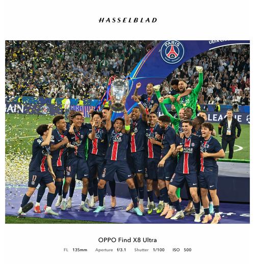 25上海马